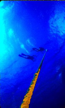 Hangline.  NikV w/15mm lens & Ike Substrobe 200 by Beverly J. Speed 